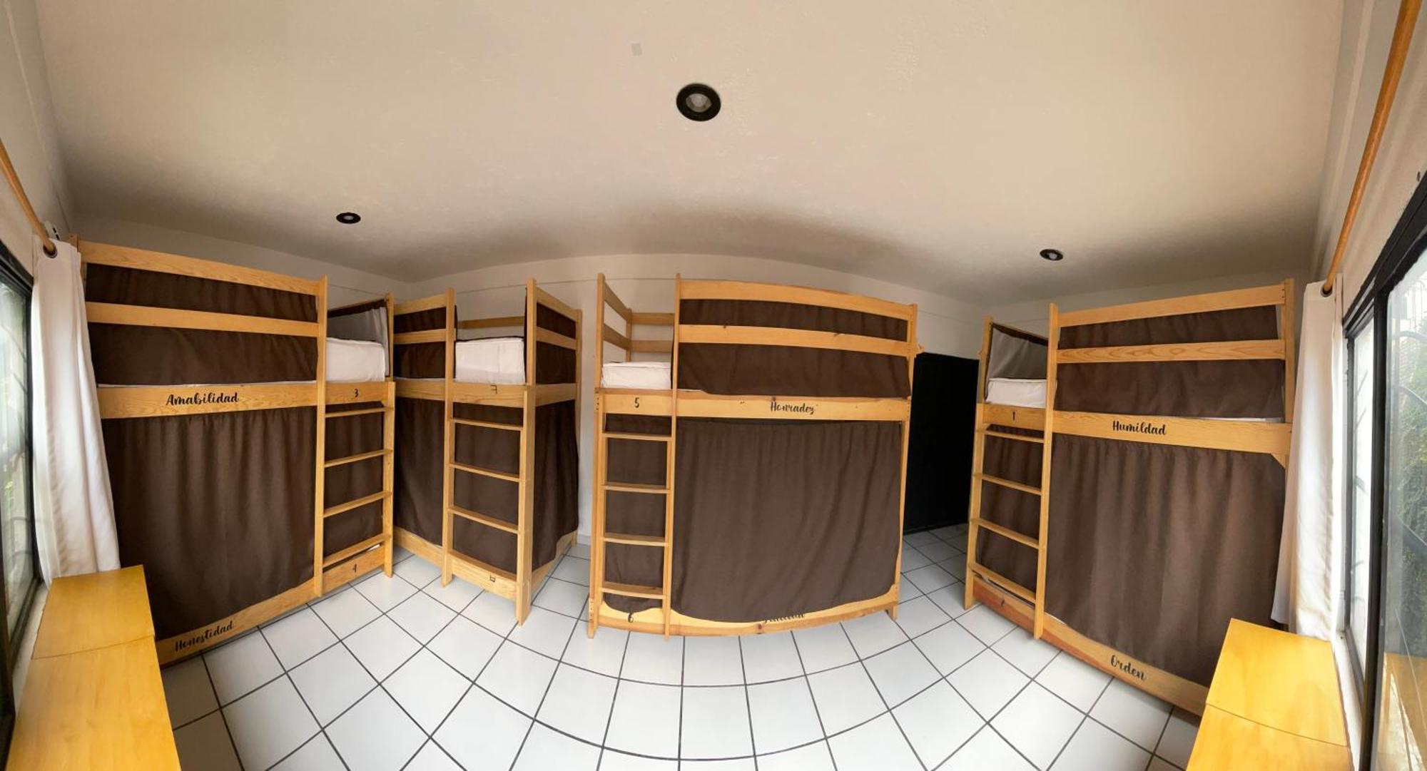 Hostal Roma Condesa Ciudad de México Exteriér fotografie